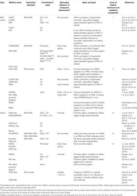 Methods to Analyze the Non-Coding RNA Interactome—Recent Advances and Challenges